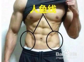 人鱼线是什么图片,男性魅力线条的奥秘与塑造方法